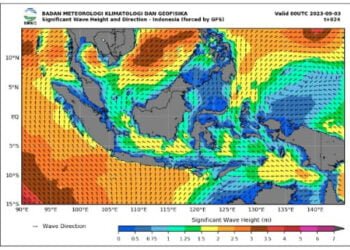 Peta gelombang tinggi yang dirilis Badan Meteorologi Klimatologi dan Geofisika BMKG pada Minggu 3 September 2023 Tangkapan layar BMKG