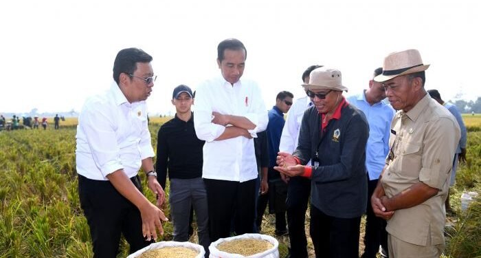 Jokowi 1 - Utusan Rakyat Jokowi Beras
