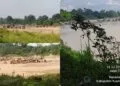Aktivitas tambang emas ilegal PETI di Cirenti Kuansing masih marak dan menyebabkan keresahan warga karena potensi pencemaran lingkungan serta kerugian bagi negara