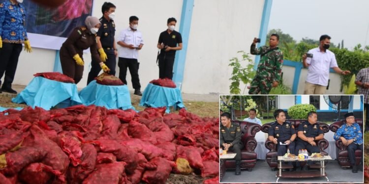 Petugas Bea Cukai bersama aparat penegak hukum lainnya secara simbolis memusnahkan barang bukti bawang ilegal hasil penindakan di Dumai Rabu 1792025 Pemusnahan ribuan karung bawang selundupan dari Malaysia ini dilakukan dengan cara ditimbun dalam galian tanah untuk mencegah peredarannya di pasar lokal dan melindungi petani dalam negeri