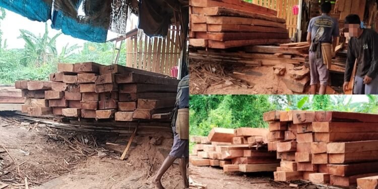 Kilang-Kayu-Ilegal-Kampar-URjpg - Utusan Rakyat