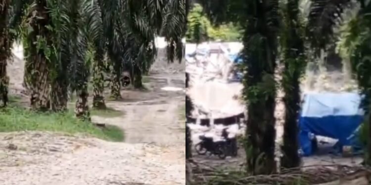 Aktivitas-PETI-di-F4-Sungai-Sirih-Diduga-Masih-Berjalan-Alat-Berat-Kembali-Beroperasijpg - Utusan Rakyat