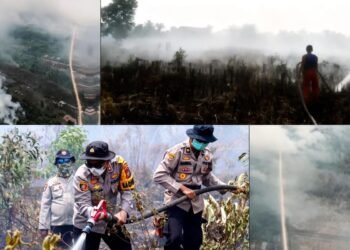 Kualitas Udara Kota Dumai Memburuk: Jarak Pandang 2M, Karhutla Kian Meluas