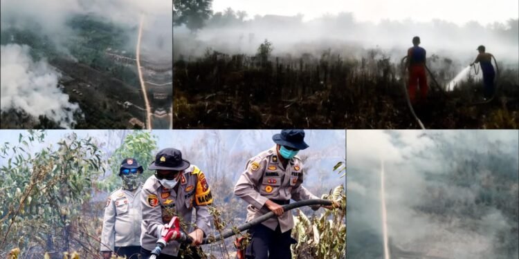 Kualitas Udara Kota Dumai Memburuk: Jarak Pandang 2M, Karhutla Kian Meluas