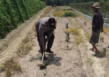 Giat Bhabinkamtibmas Polsek Sungai Sembilan Dalam Mendukung Program Ketahanan Pangan Nasional