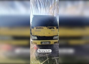 Polres Pelalawan Gagalkan Penyelundupan 12 Kubik Kayu Ilegal, Dua Truk dan Pelaku Diamankan