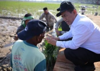 Pemerintah Aceh Jelaskan Posisi Bantuan Kementan untuk Pemulihan Sawah dan Kebun