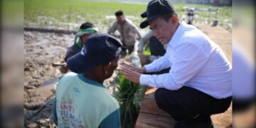 Pemerintah Aceh Jelaskan Posisi Bantuan Kementan untuk Pemulihan Sawah dan Kebun