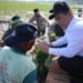Pemerintah Aceh Jelaskan Posisi Bantuan Kementan untuk Pemulihan Sawah dan Kebun