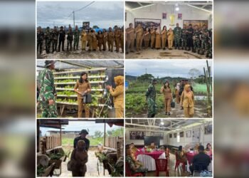 Perkuat Ketahanan Pangan, Dinas Pertanian Dairi Tinjau Potensi Pertanian dan Peternakan Yonif TP 908/Pertaki